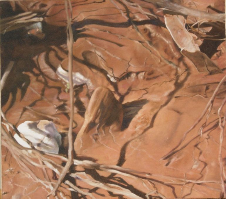 Fowlers Gap 2, a painting by Australian artist Katherine Edney